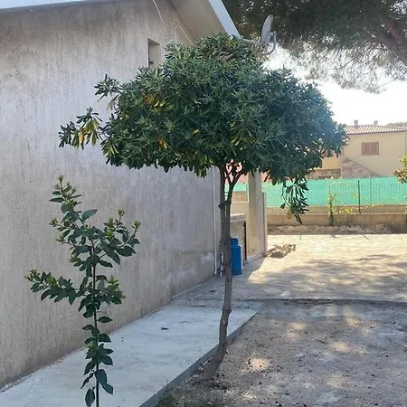 Monolocale Con Giardino * San Giovanni (Nuoro)